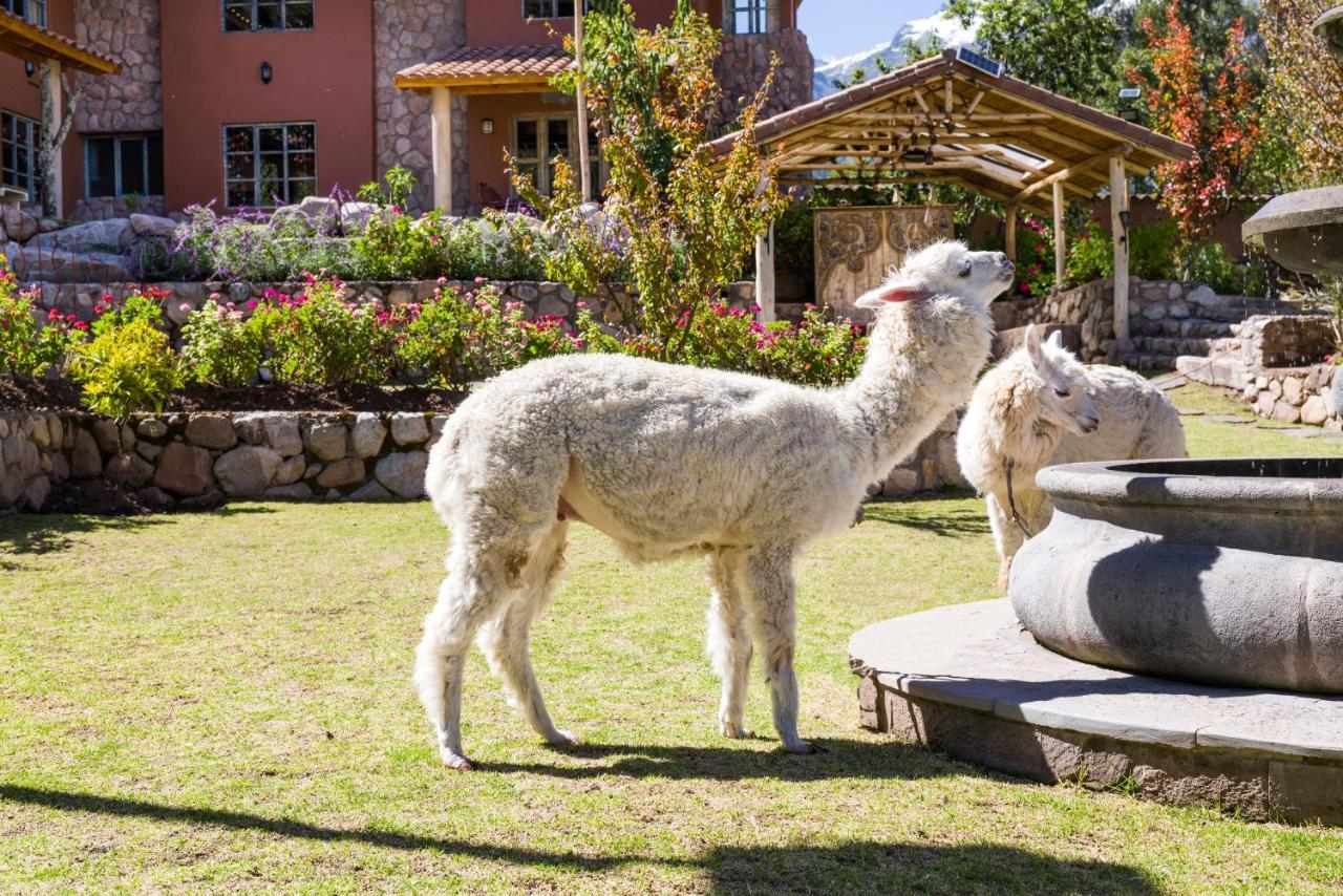 Apu Chicon Villa Urubamba