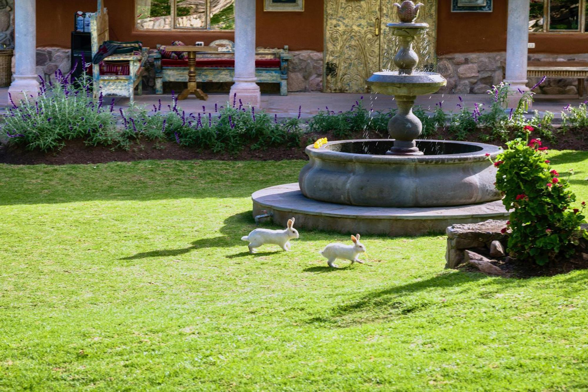 Villa Apu Chicon