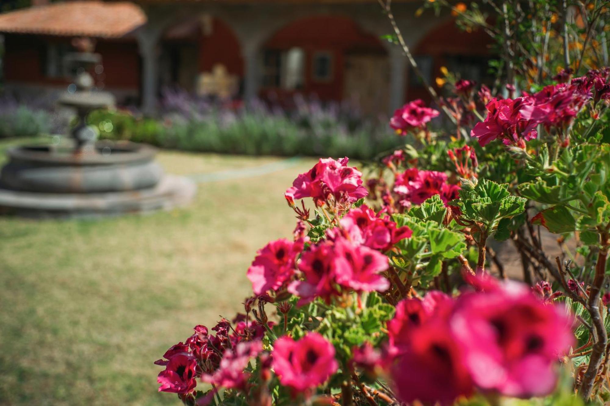 Villa Apu Chicon Urubamba