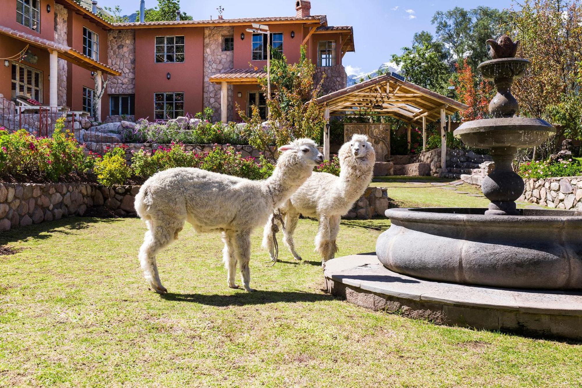 Villa Apu Chicon Urubamba